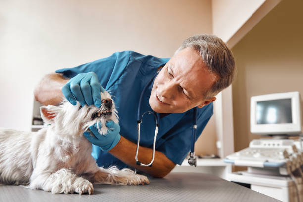 Best Emergency Tooth Extraction in Westmont, IL
